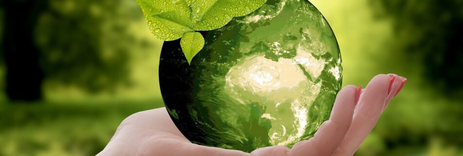 Was ist Greenwashing Tourism. Wie erkenne ich das?
