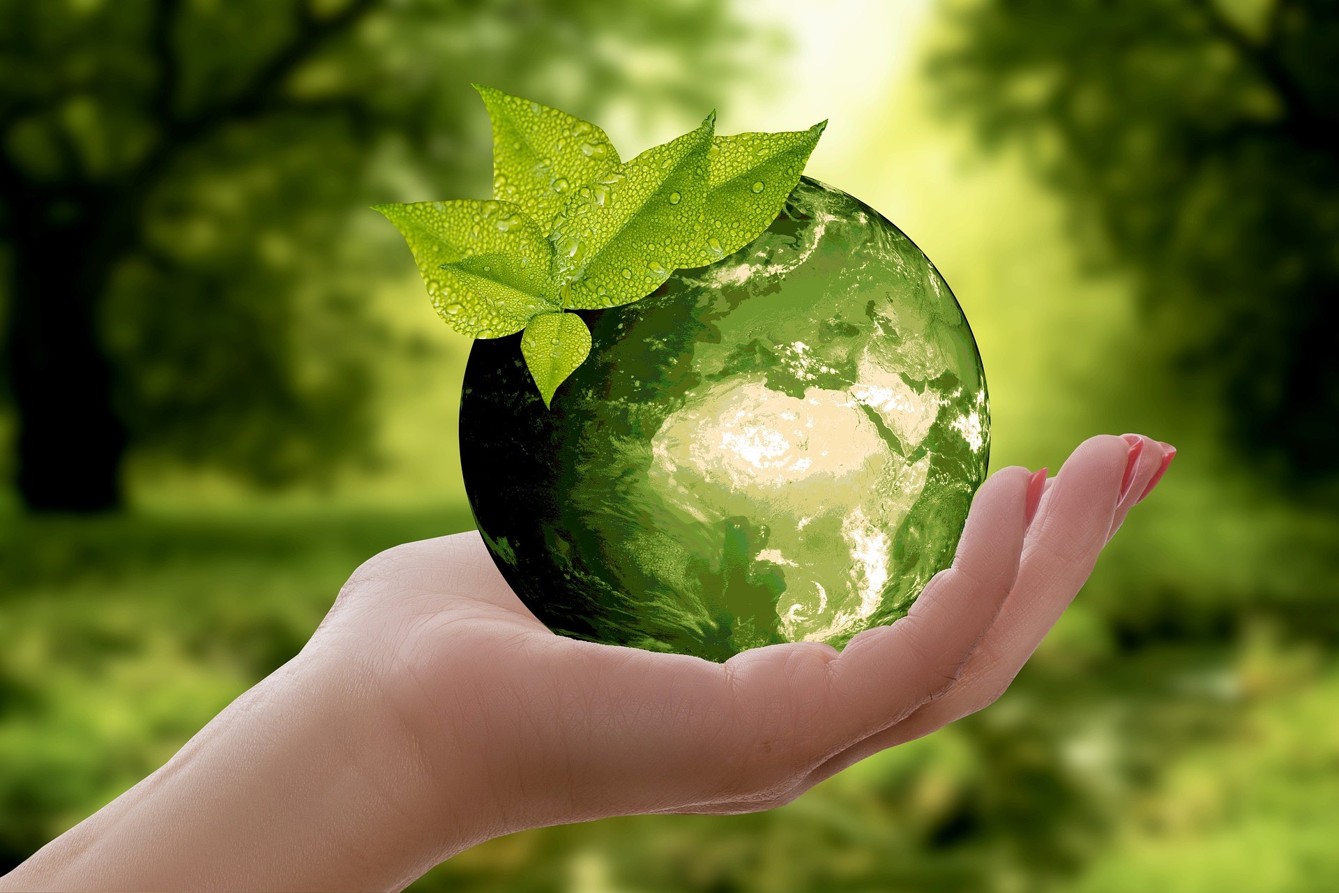 Was ist Greenwashing Tourism. Wie erkenne ich das?